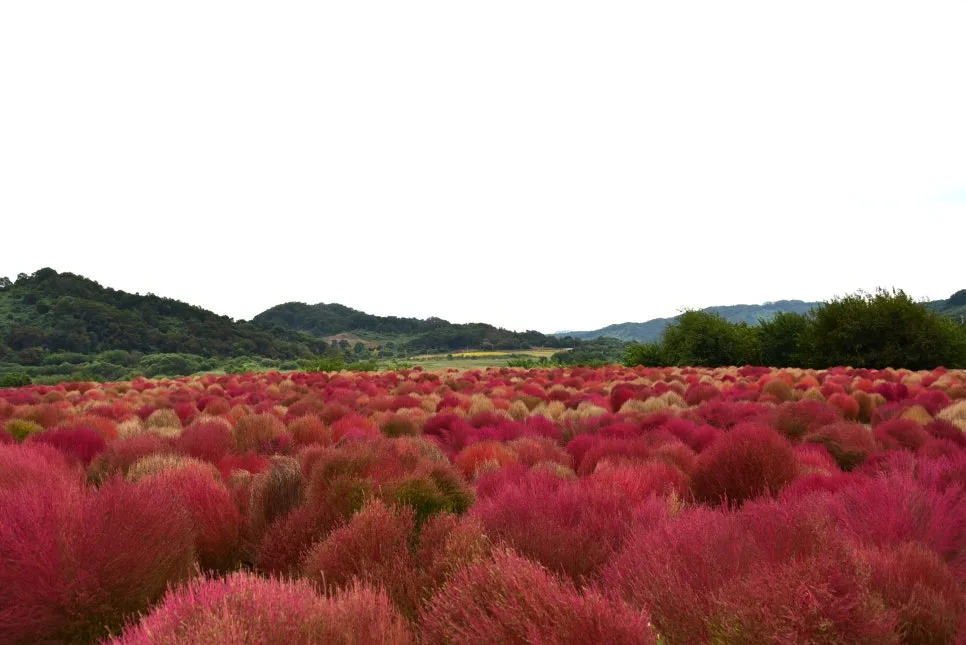 10%EC%9B%9414%EC%9D%BC_(70).JPG?type=w966