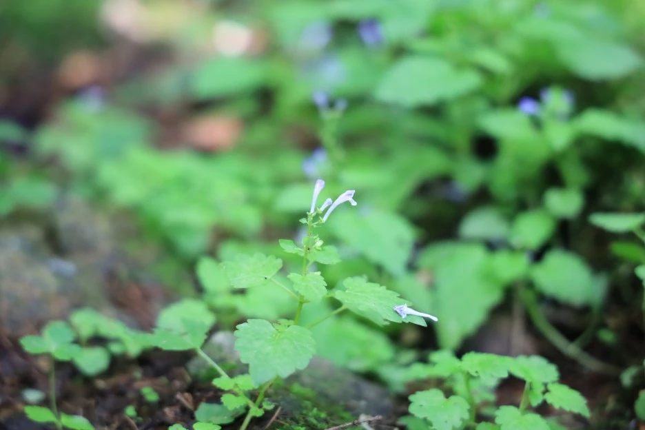 6%EC%9B%9428%EC%9D%BC_(74).JPG?type=w1