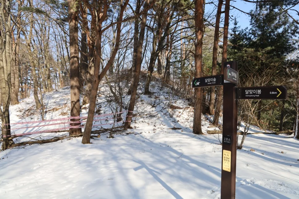 12%EC%9B%9426%EC%9D%BC_(89).JPG?type=w966