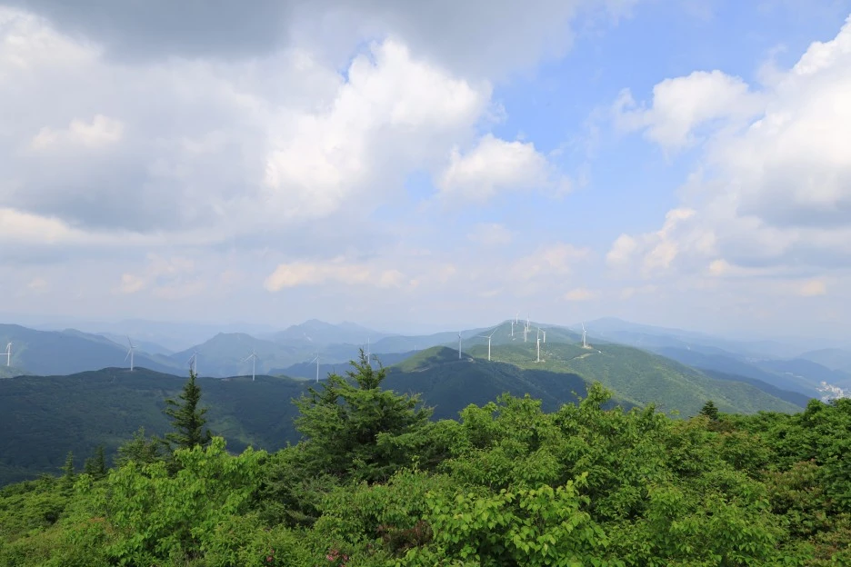 6%EC%9B%9414%EC%9D%BC_(134).JPG?type=w1