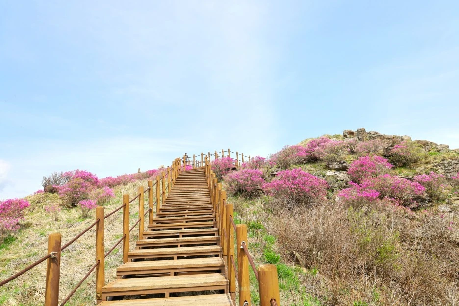 4%EC%9B%9428%EC%9D%BC_(107).JPG?type=w1