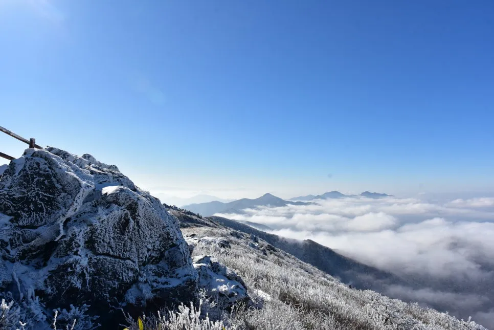 11%EC%9B%9426%EC%9D%BC_(159).JPG?type=w966