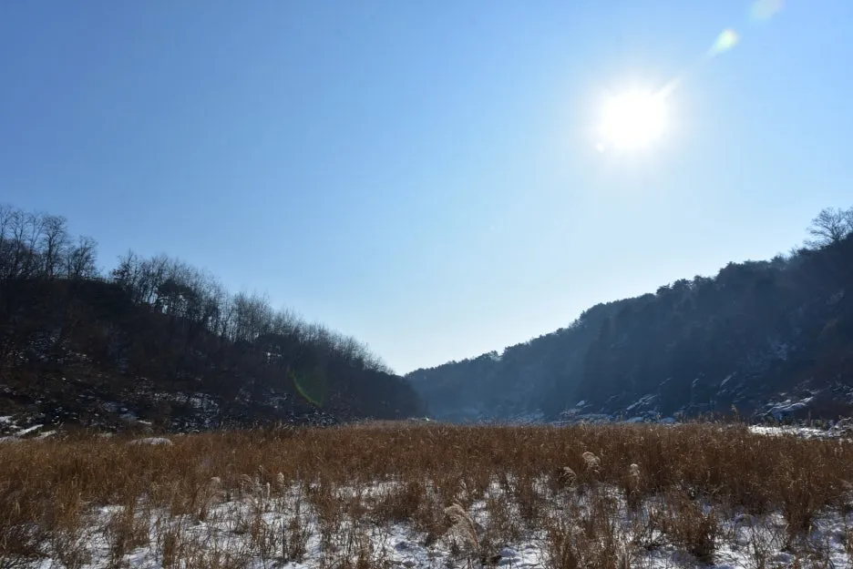 1%EC%9B%9412%EC%9D%BC_(110).JPG?type=w1