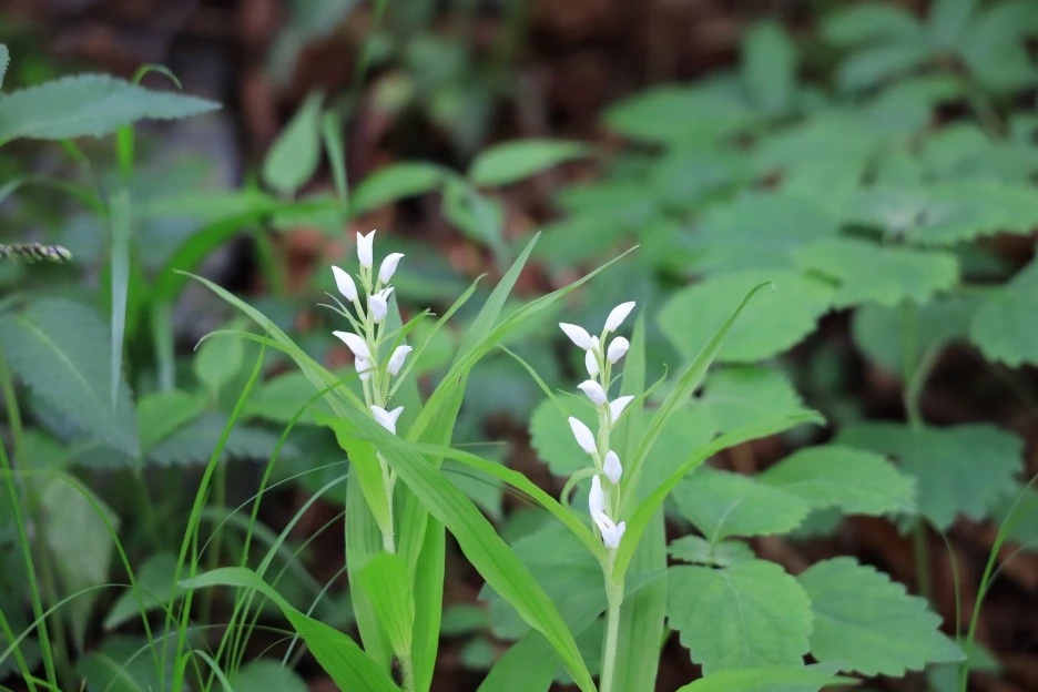 6%EC%9B%9414%EC%9D%BC_(305).JPG?type=w1