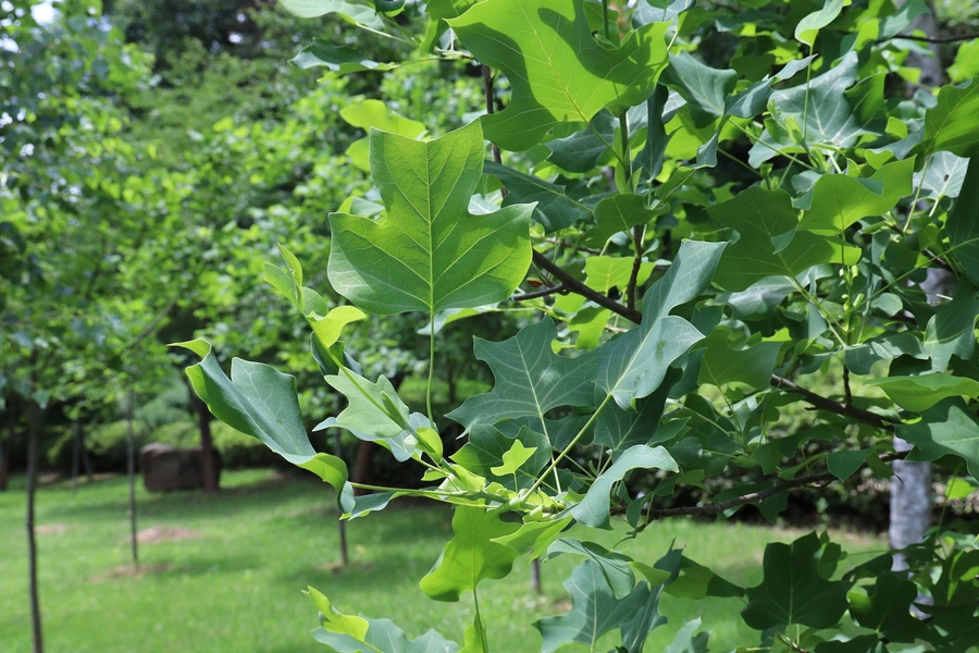 SE-f5eec69e-800a-4952-b461-981e342924c3.jpg?type=w1