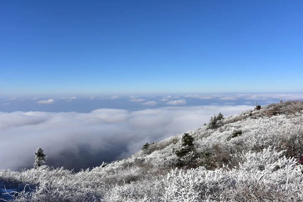 11%EC%9B%9426%EC%9D%BC_(112).JPG?type=w966