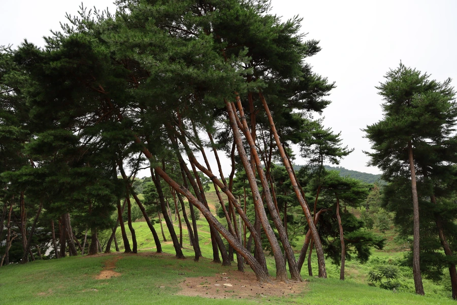 SE-0e785a0a-53d9-423a-86a7-f982dddeae3d.jpg?type=w1