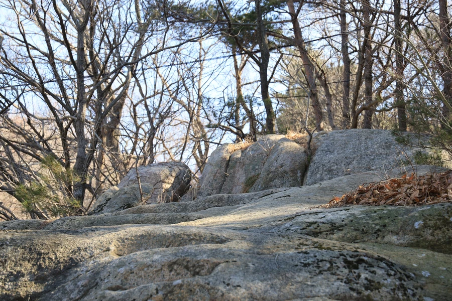 SE-db2e0eee-cfcd-479a-82d5-3a1aa98e9528.jpg?type=w1