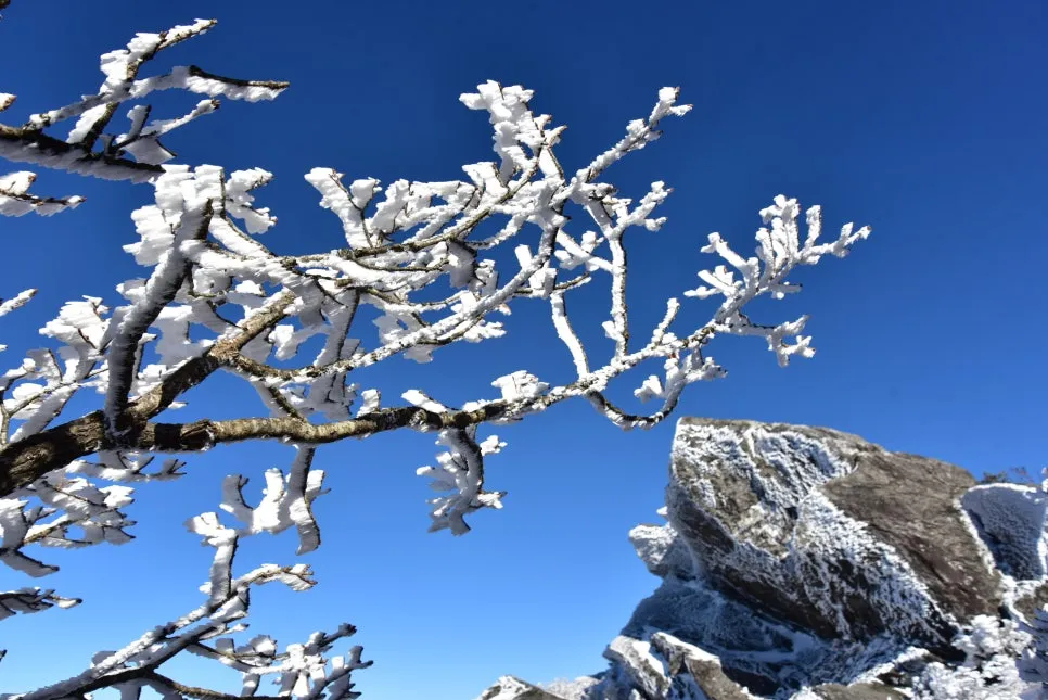 11%EC%9B%9426%EC%9D%BC_(196).JPG?type=w966