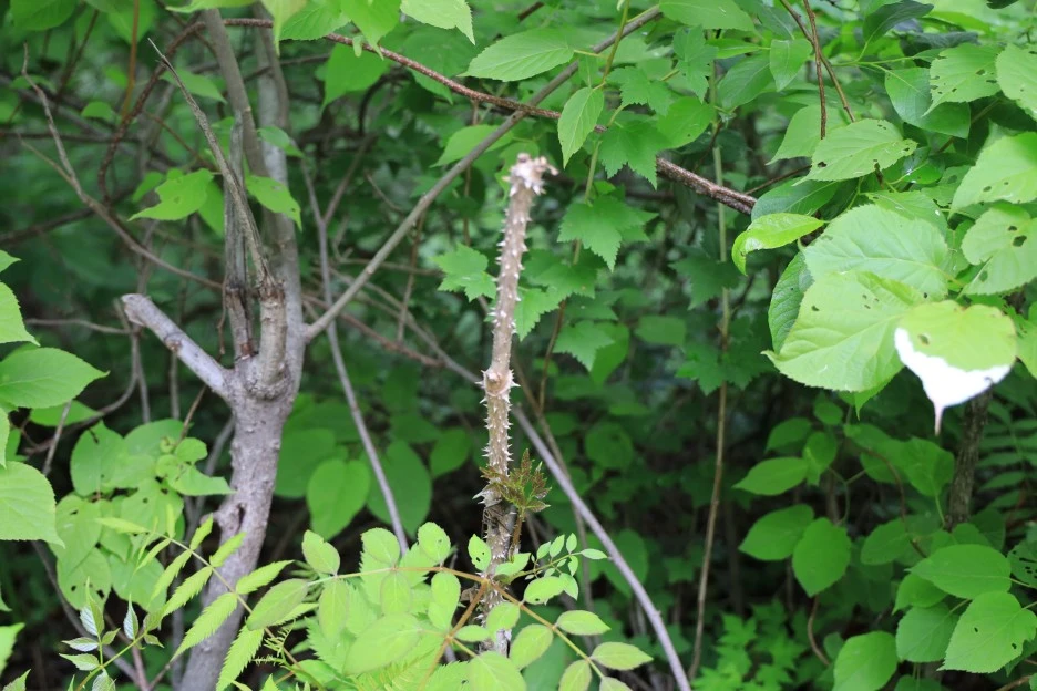 6%EC%9B%9414%EC%9D%BC_(295).JPG?type=w1