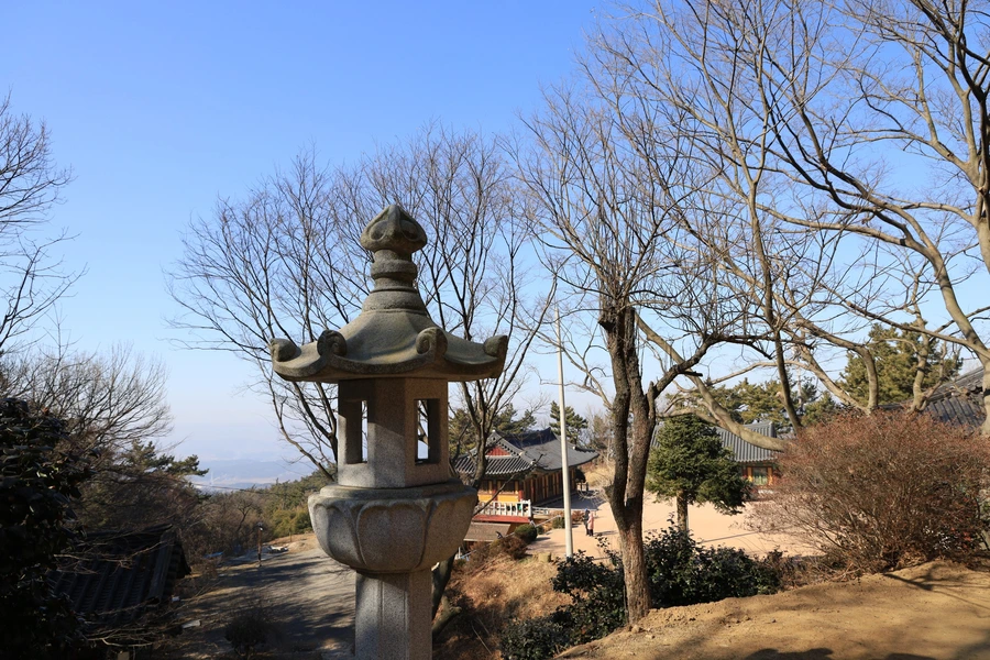 SE-ea08d388-dba3-405b-9ac4-61aa66a3d013.jpg?type=w1