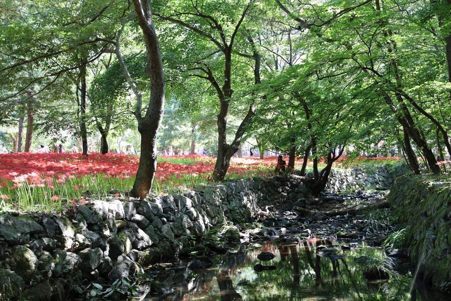 SE-02cab546-b24e-4965-97da-f38c769733b8.jpg?type=w1