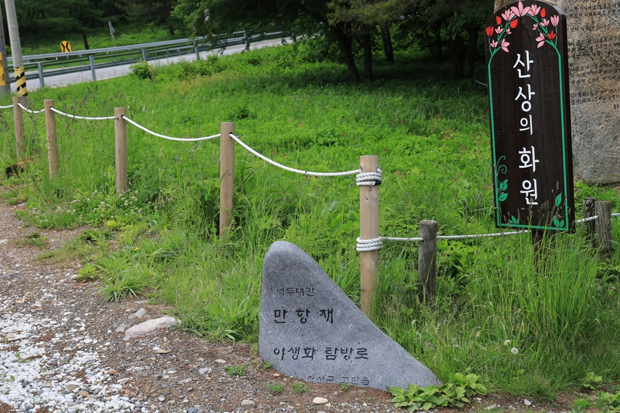 SE-c9525236-de70-4cc2-9a2f-b6a209faa6f0.jpg?type=w1