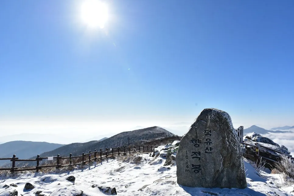 11%EC%9B%9426%EC%9D%BC_(157).JPG?type=w966