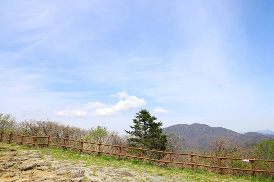 4%EC%9B%9428%EC%9D%BC_(31).JPG?type=w1