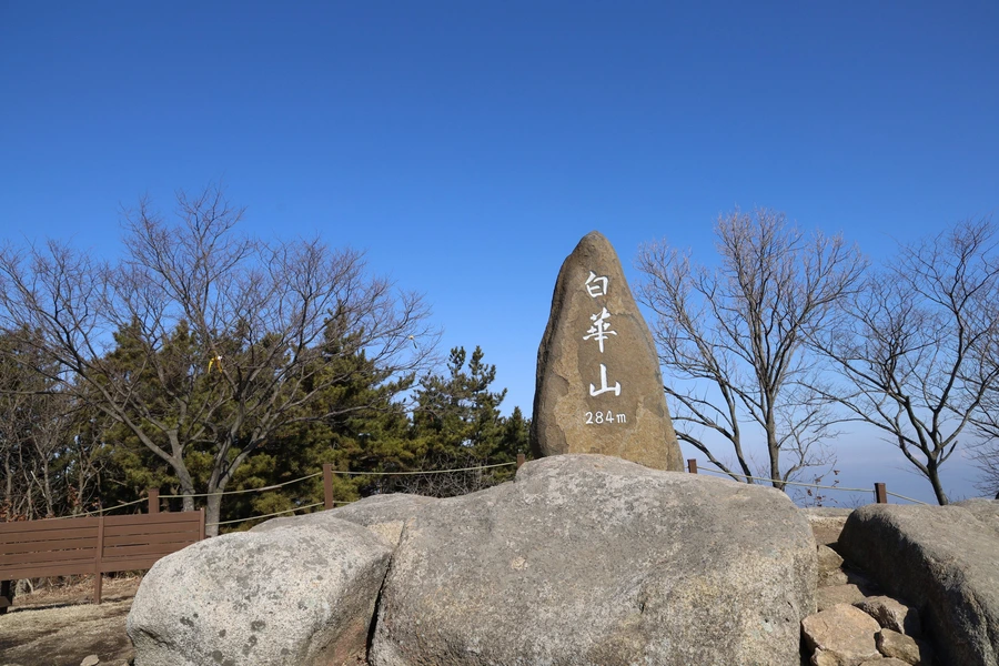 SE-f1a2a01e-2cd8-4a72-bef8-449600f69261.jpg?type=w1