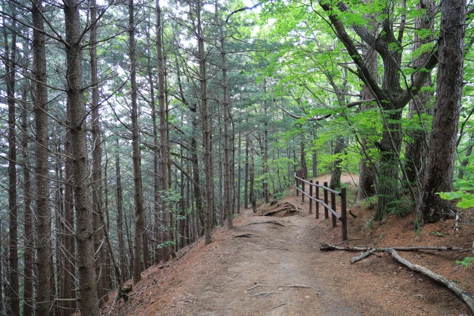 6%EC%9B%9428%EC%9D%BC_(357).JPG?type=w1