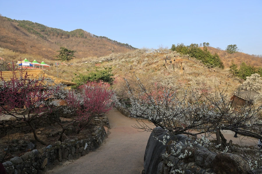 SE-112dfb71-0f0c-41b6-bb5b-4d48e432ee03.jpg?type=w1