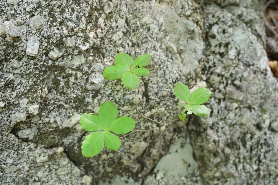 5%EC%9B%9410%EC%9D%BC_(111).JPG?type=w1