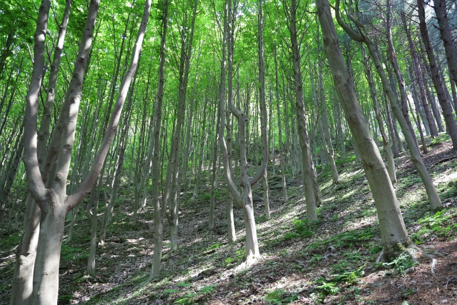 5%EC%9B%9410%EC%9D%BC_(175).JPG?type=w1