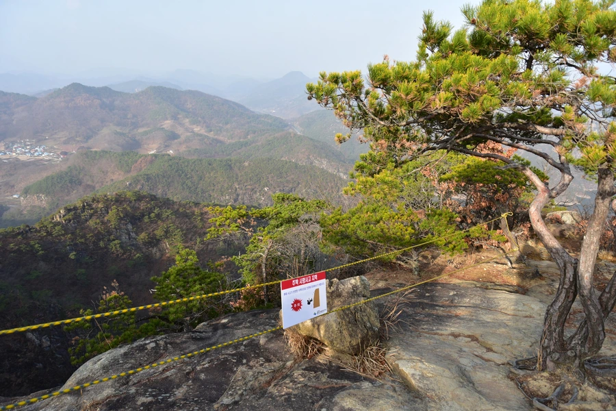 SE-32de2ad8-889d-4435-8aaf-b321c5210c68.jpg?type=w1