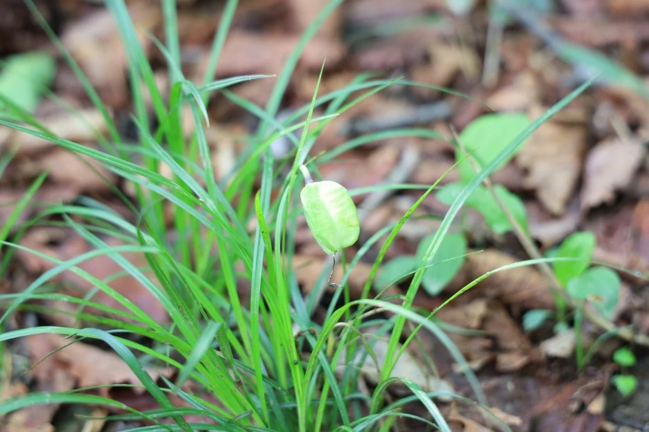 6%EC%9B%9414%EC%9D%BC_(41).JPG?type=w1