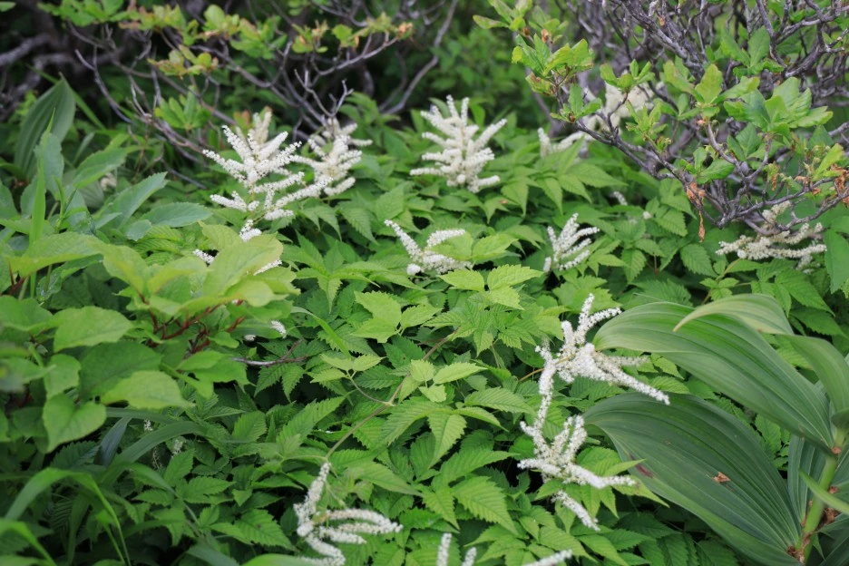 6%EC%9B%9414%EC%9D%BC_(223).JPG?type=w1