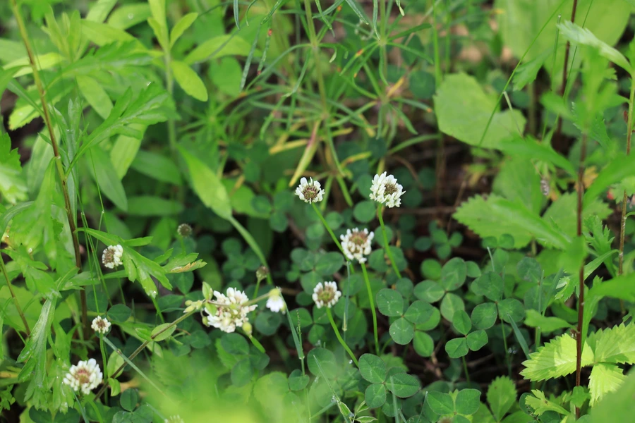 SE-742126f2-1b3f-4a2e-a5bb-4cddcb0ccdfb.jpg?type=w1