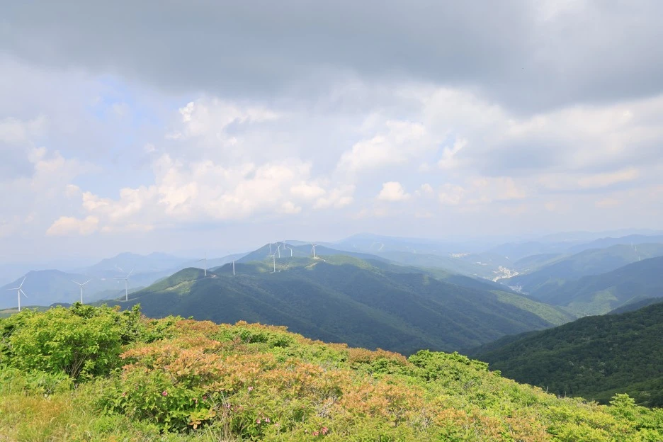 6%EC%9B%9414%EC%9D%BC_(197).JPG?type=w1