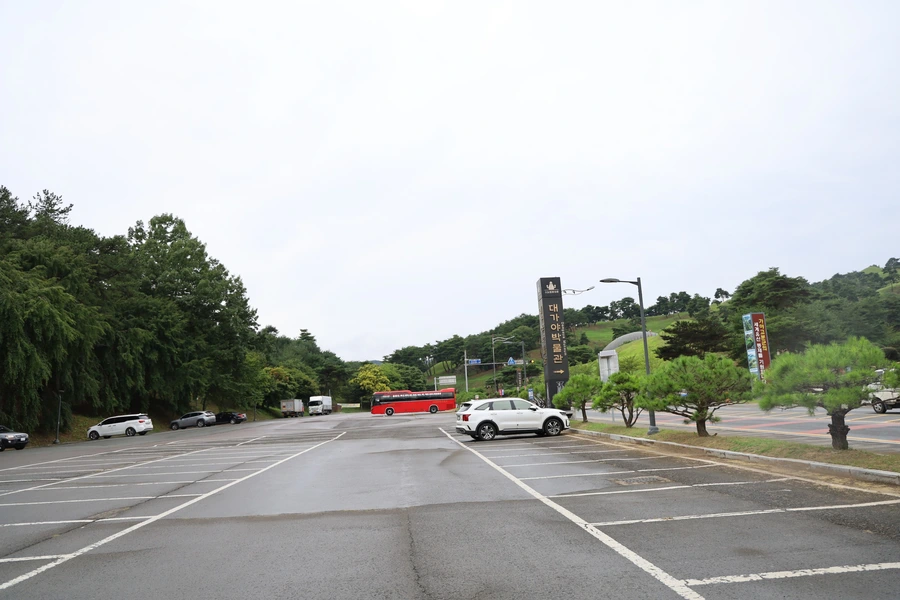 SE-7c5cd7ae-3e20-4c52-a53a-a17763edce76.jpg?type=w1