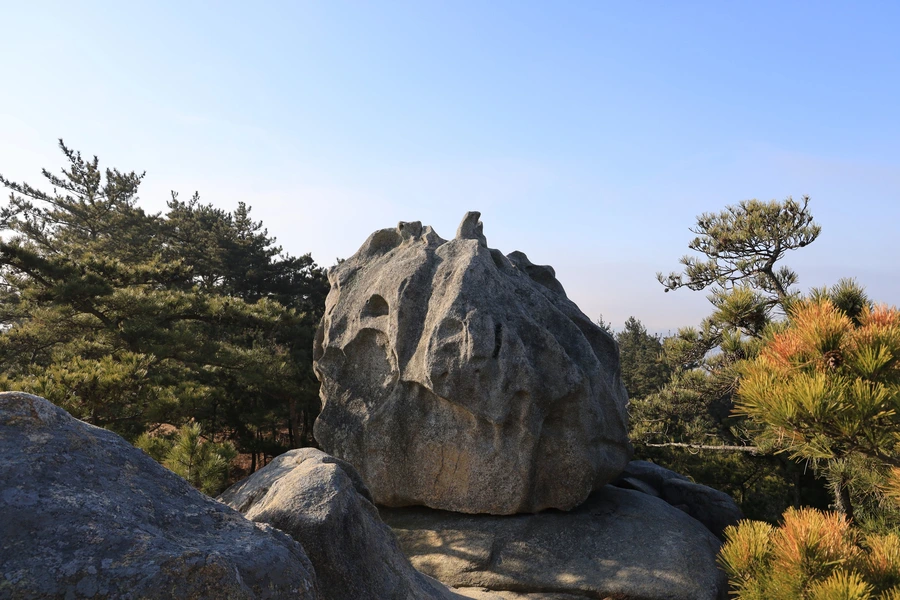 SE-48f162db-a701-444b-83a7-46c7de349ed2.jpg?type=w1