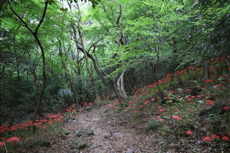 SE-f8825a1f-ef5b-4648-9e4c-d684756458e0.jpg?type=w1