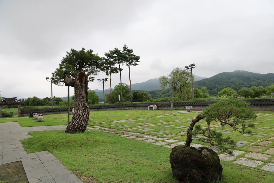 SE-9189e2de-4f02-4ae8-9cc6-285bdbcf2fae.jpg?type=w1