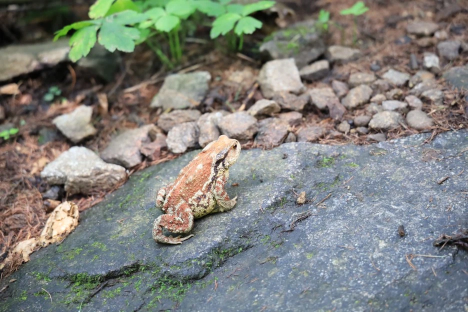 6%EC%9B%9428%EC%9D%BC_(402).JPG?type=w1