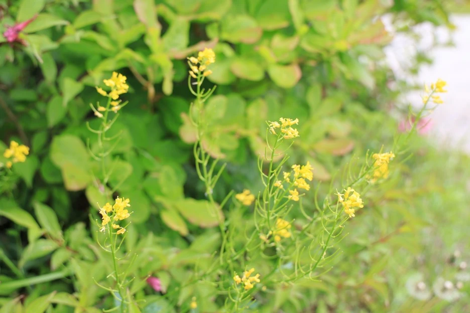 6%EC%9B%9414%EC%9D%BC_(181).JPG?type=w1