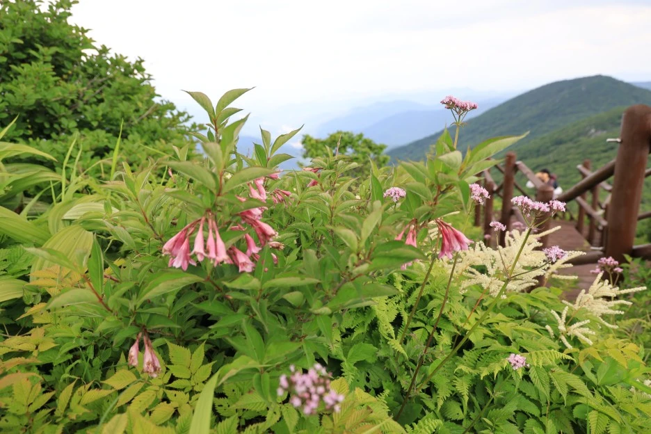 6%EC%9B%9414%EC%9D%BC_(234).JPG?type=w1