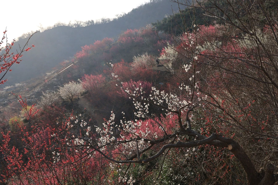 SE-aefa506a-b232-48e3-ba15-2f73d59c7029.jpg?type=w1