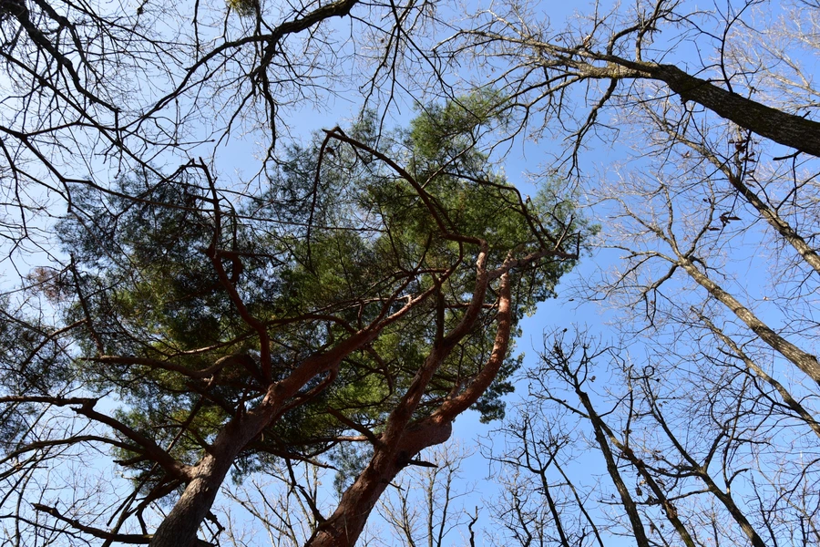 SE-d29fc3e8-85d9-438d-acb7-72bad9641d3a.jpg?type=w1