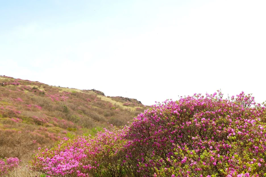 4%EC%9B%9428%EC%9D%BC_(42).JPG?type=w1