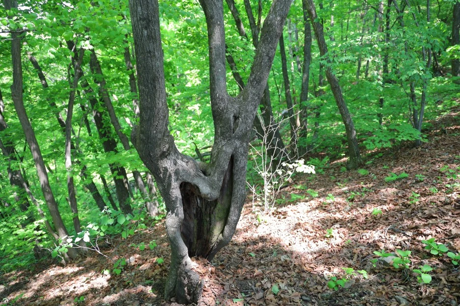 5%EC%9B%9410%EC%9D%BC_(155).JPG?type=w1