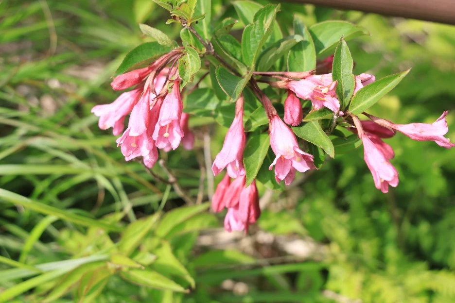 6%EC%9B%9414%EC%9D%BC_(173).JPG?type=w1