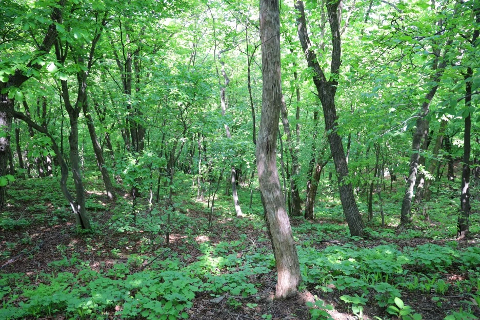 5%EC%9B%9410%EC%9D%BC_(154).JPG?type=w1