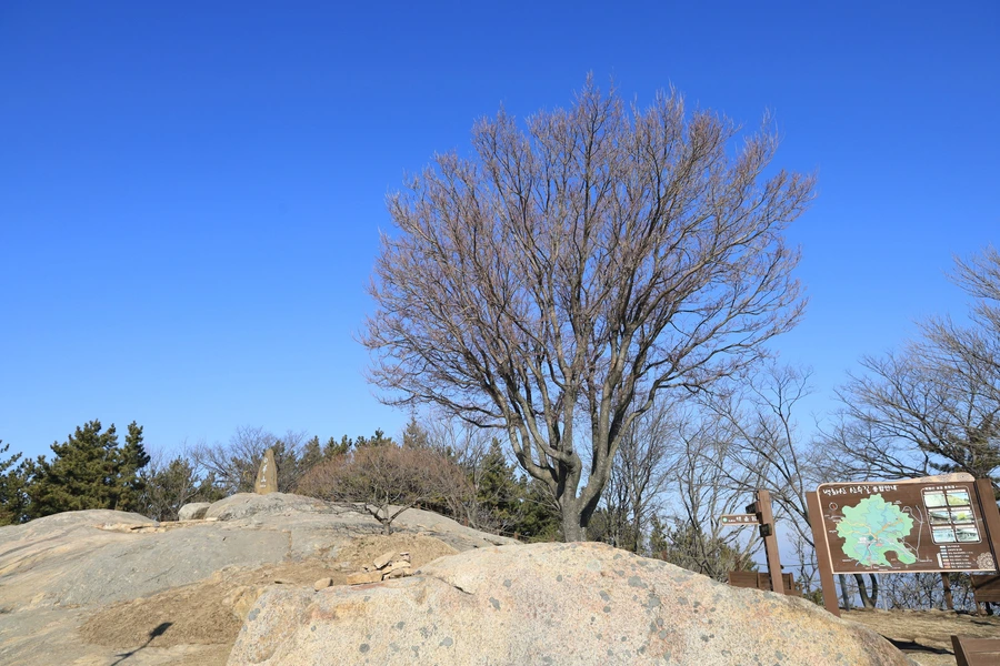 SE-b764a0bb-7ad0-4d94-b24e-094897fb5974.jpg?type=w1