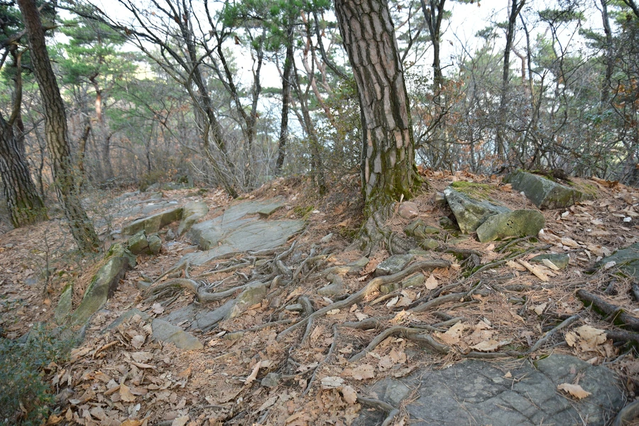 SE-eaa7a230-3ca4-4b67-9090-fe8a08653db3.jpg?type=w1