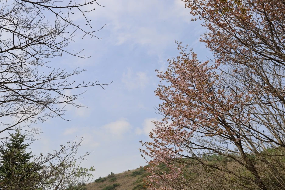 4%EC%9B%9428%EC%9D%BC_(160).JPG?type=w1