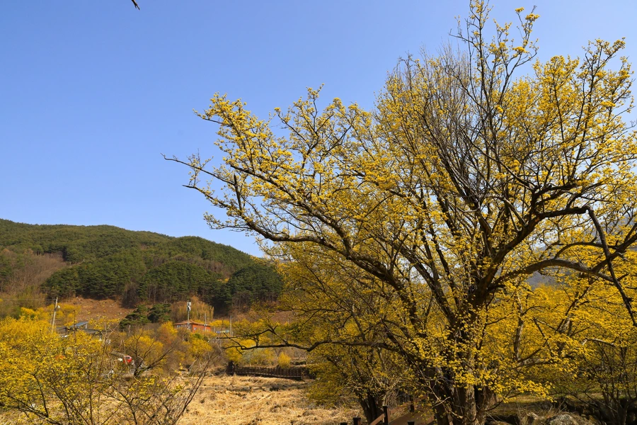 SE-47cd1fc1-e201-4cbc-bf4f-59baf9c7c2b5.jpg?type=w1