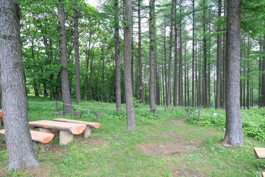 SE-f189fca9-d649-45b5-8914-1af864ed96d1.jpg?type=w1