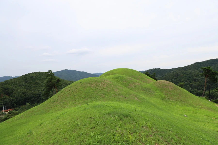 SE-1e4896e9-1024-4ecd-aed8-abdb449d3470.jpg?type=w1