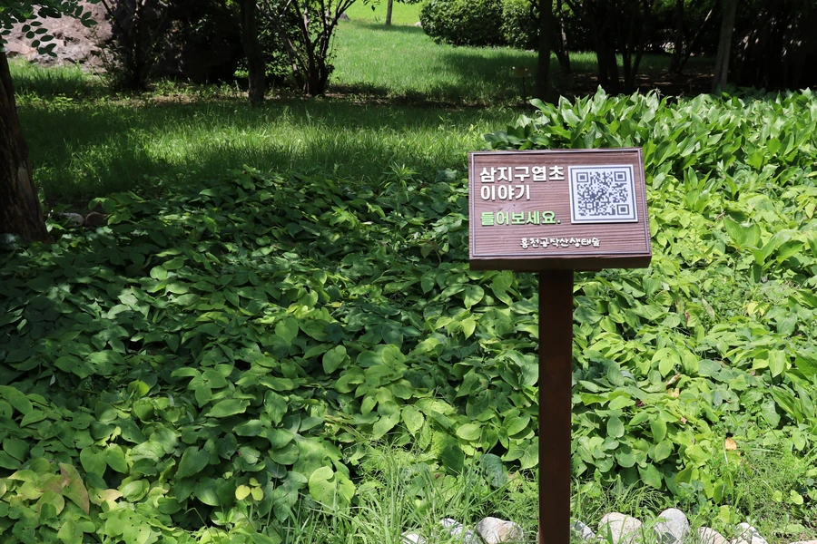 SE-c88f7dee-2b41-4cb7-82dc-4aad6e4149ed.jpg?type=w1