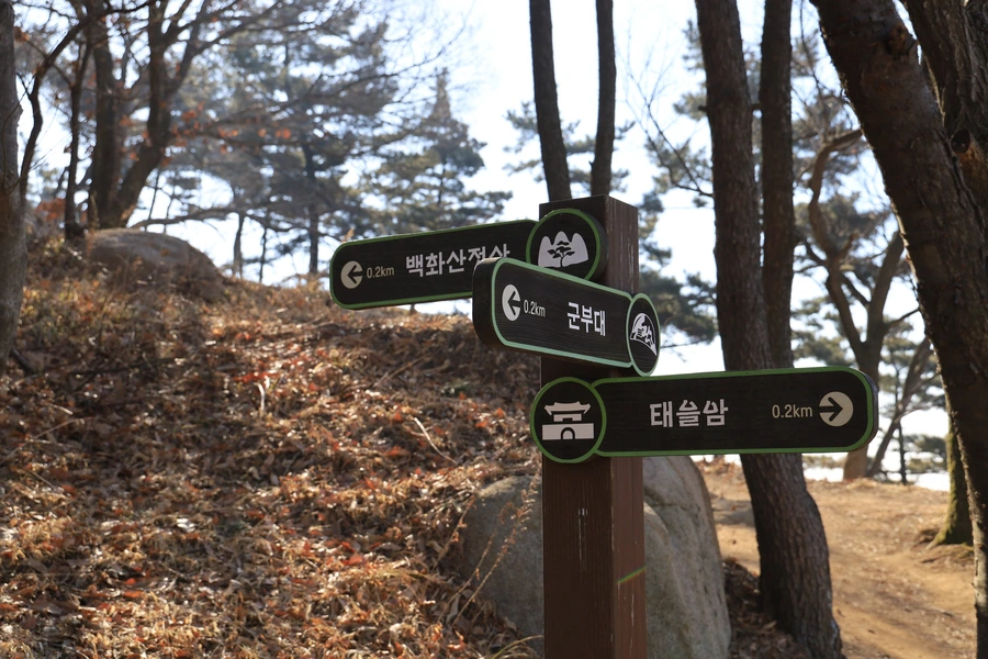 SE-07e08f60-7de3-4ad1-bef8-5324b325b4cc.jpg?type=w1